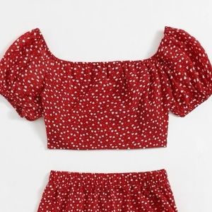 Red top & skirt set